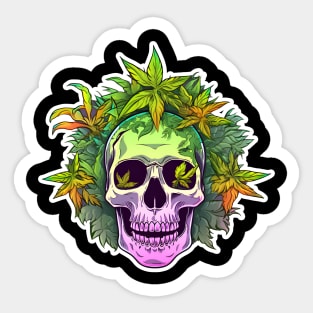 Cannabis Culture Sticker